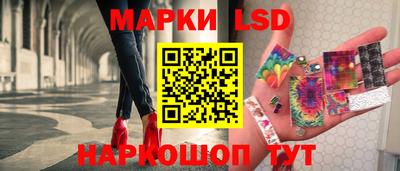 индика Обь