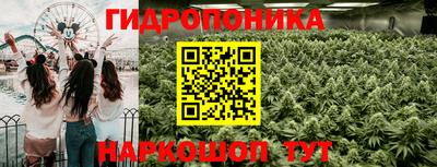 индика Обь