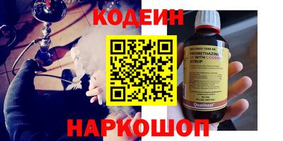 индика Обь