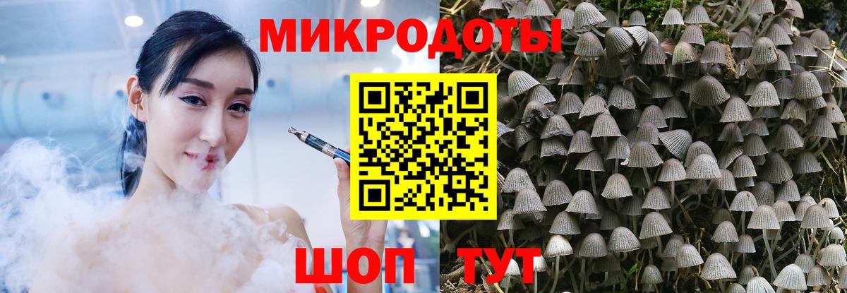 Псилоцибиновые грибы GOLDEN TEACHER Сунжа